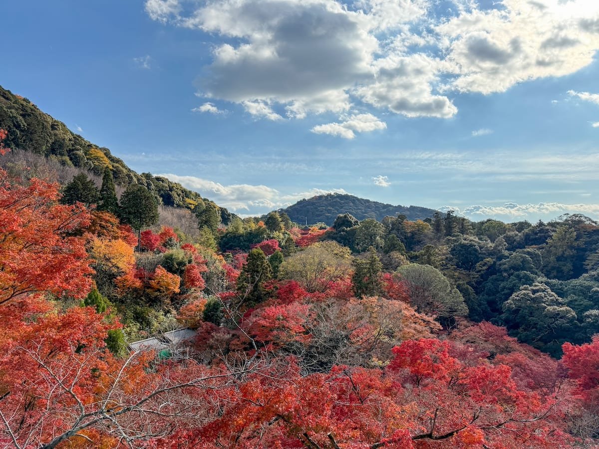 Kiyomizu-dera Panorama