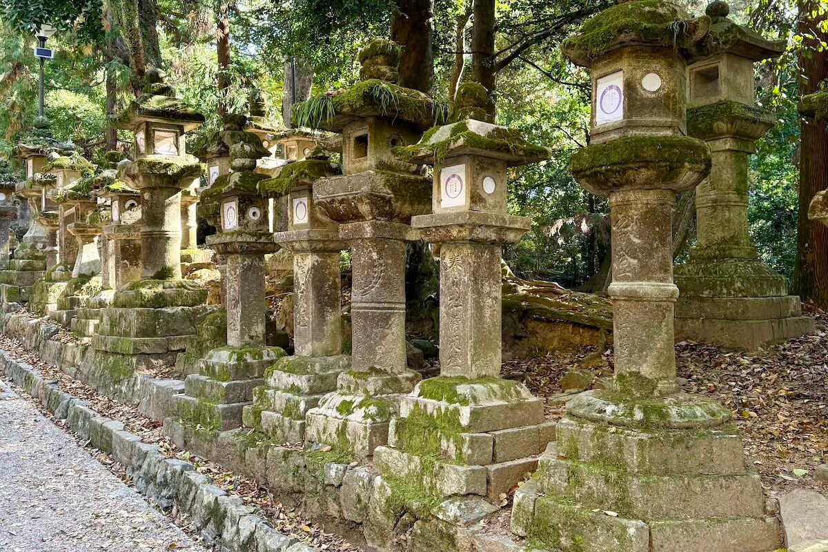 Lanterne di Pietra Kasuga Taisha