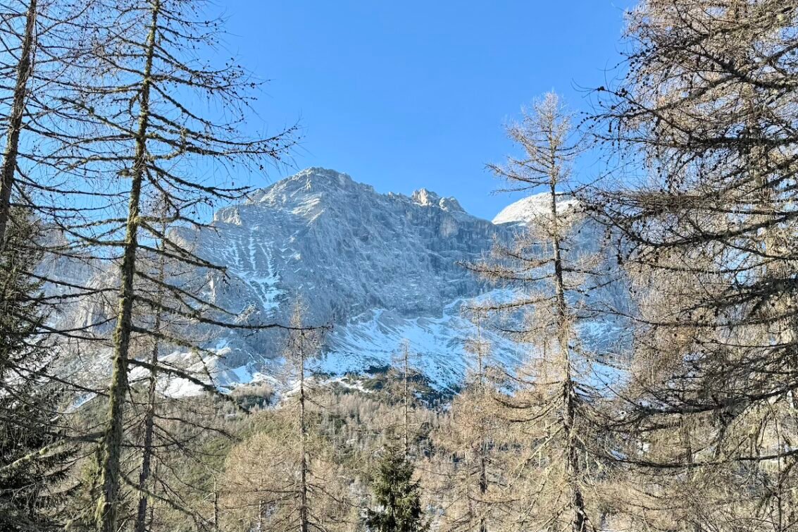 Monte Civetta dal dentro il bosco