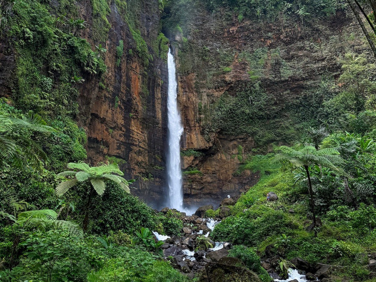 Copertina Kapas Biru