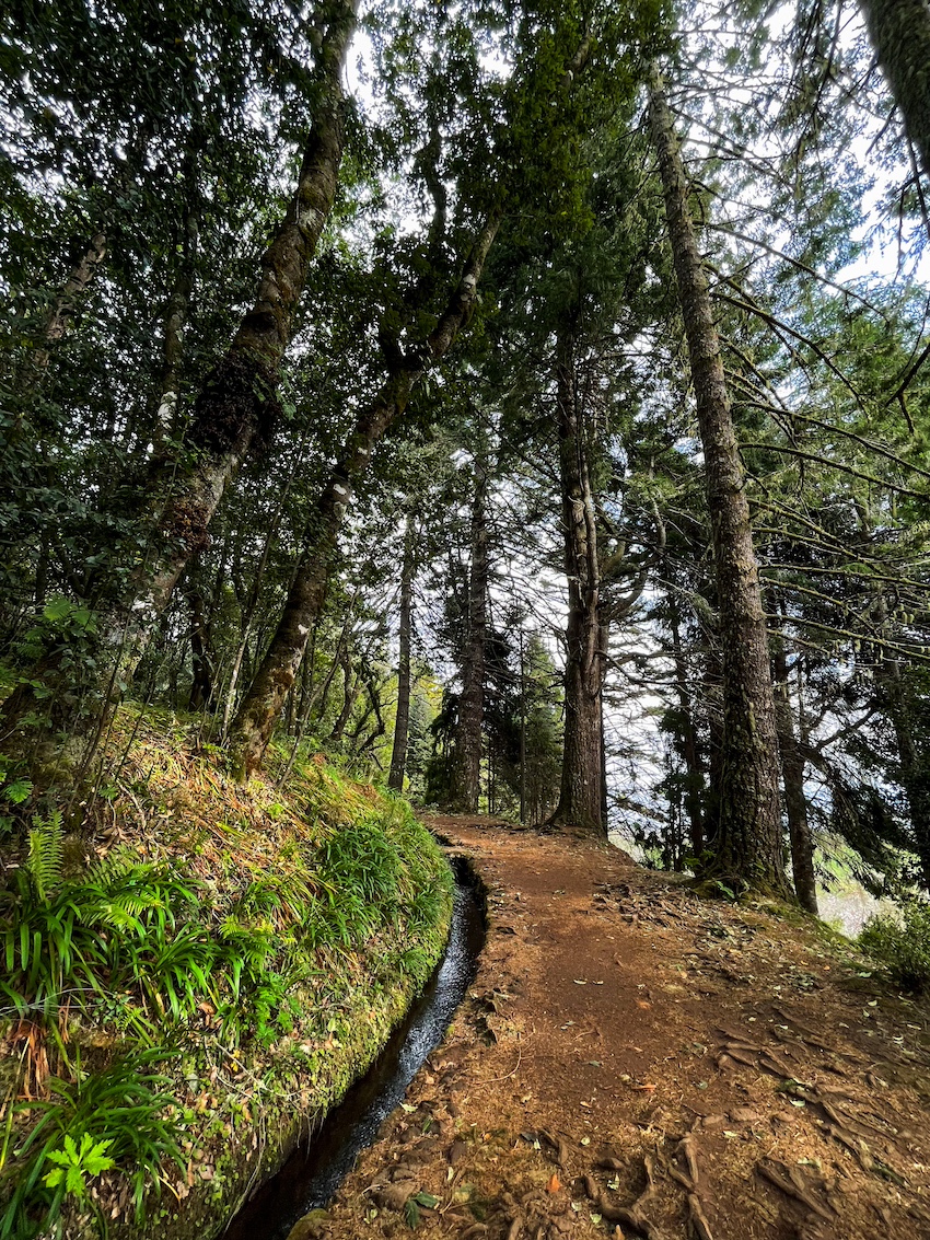 Inizo PR 9 Levada do Caldeirao Verde Madeira