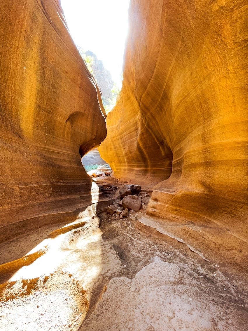 Barranco de Las Vacas Ingresso Gran Canaria