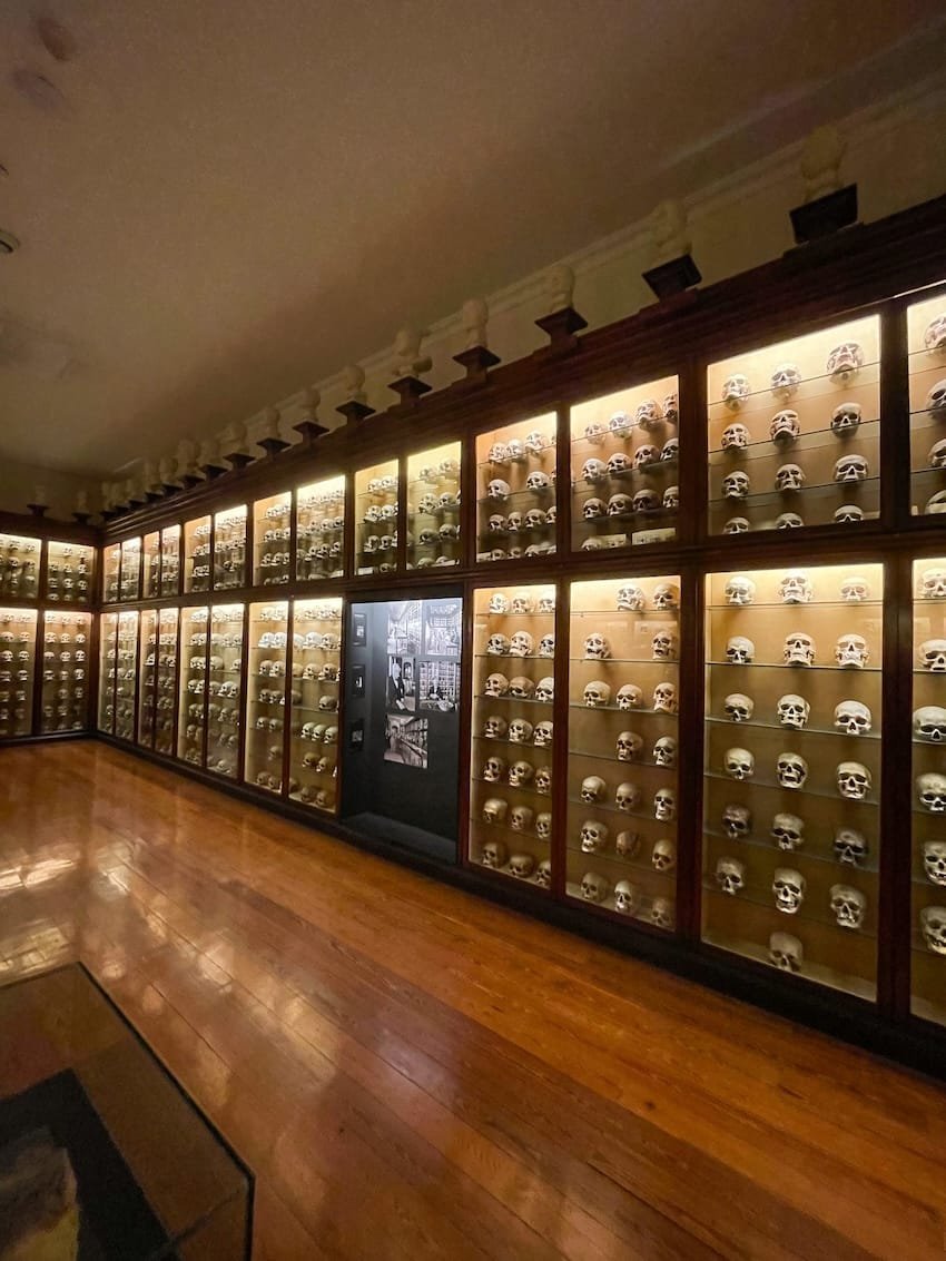 Scheletri Museo Canario Gran Canaria