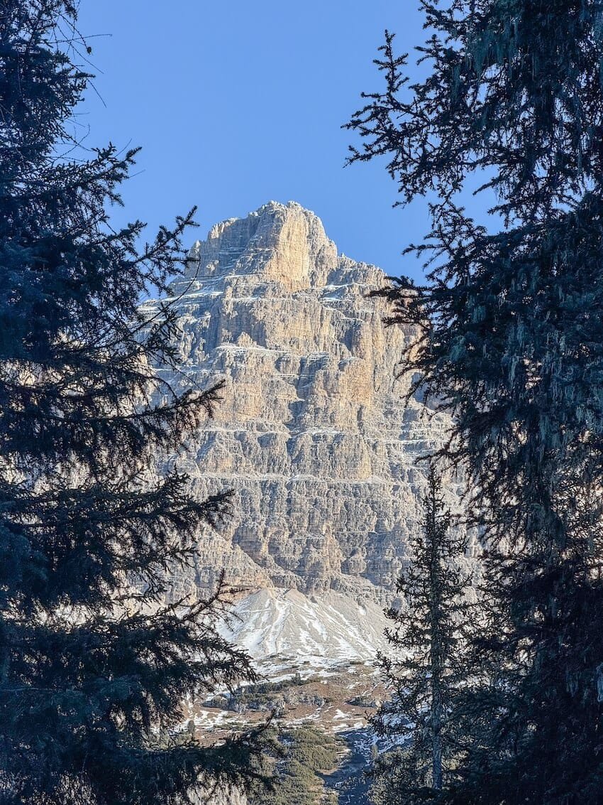 Tre Cime di Lavaredo dal Bosco