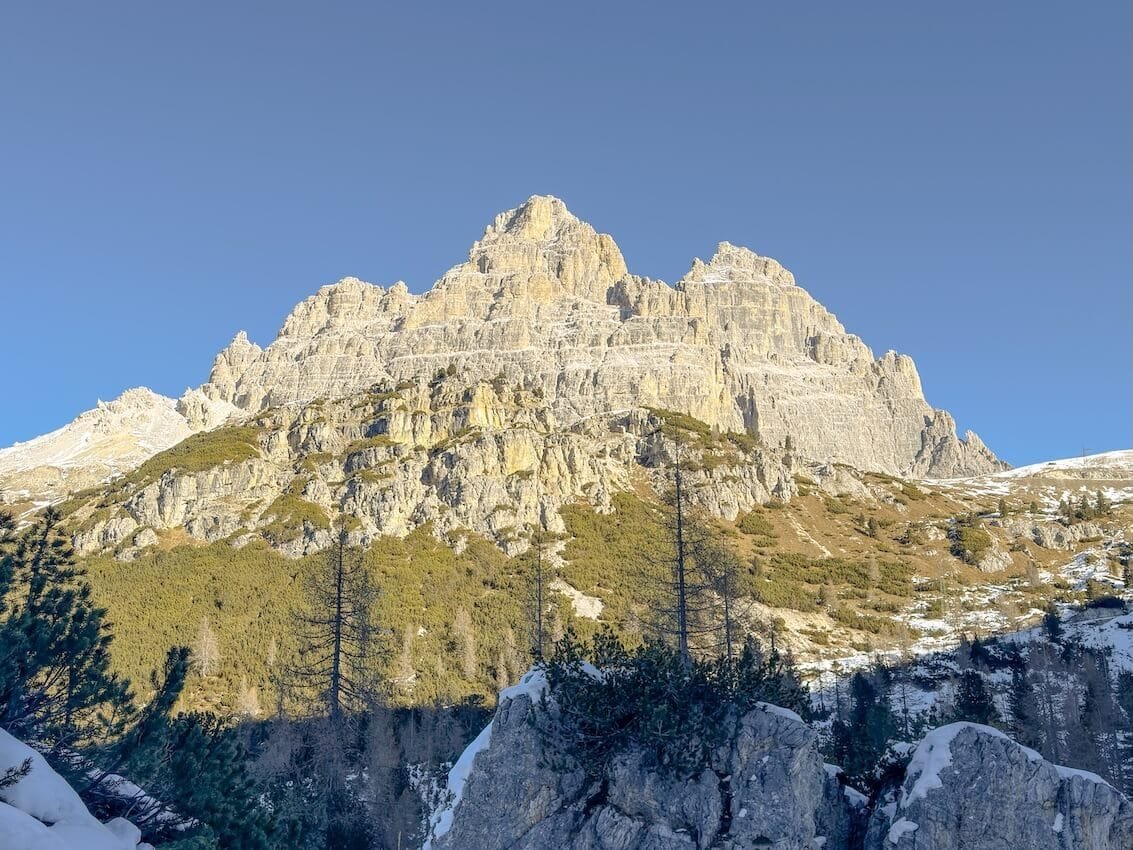 Vista Tre Cime di Lavaredo dal Bosco