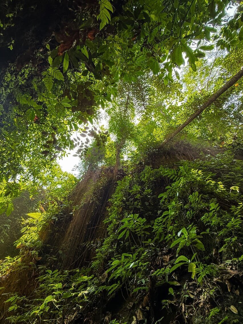 Canyon Toya Selaka Waterfall