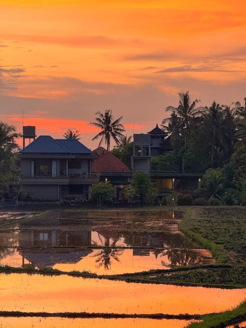 Case Tramonto Sweet Orange Walk Trail