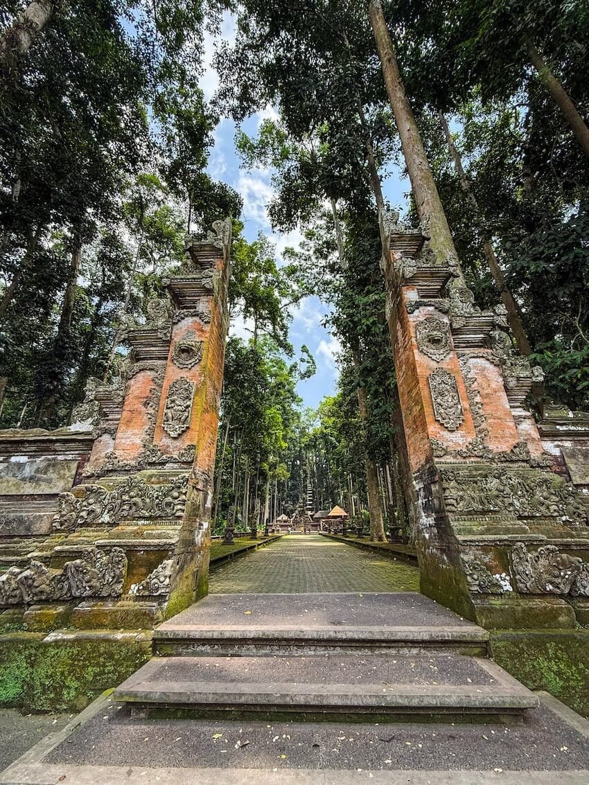 Ingresso Sangeh Monkey Forest Bali