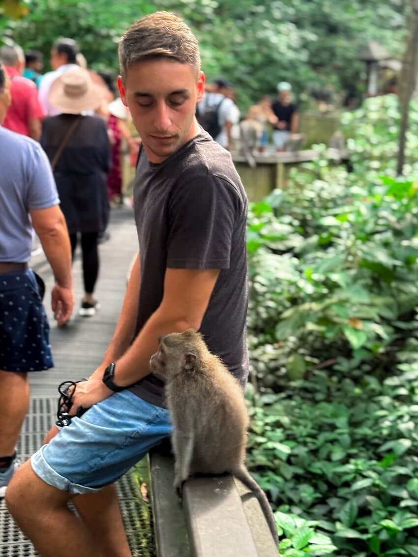 Pal con Scimmia Monkey Forest Ubud