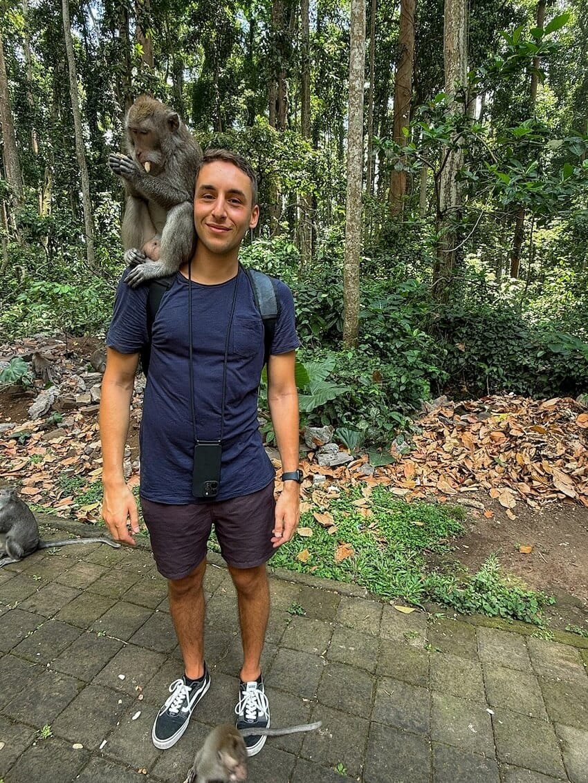 Pal con una Scimmia a Sangeh Monkey Forest Bali