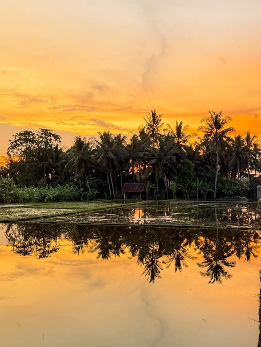 Riflesso Tramonto Sweet Orange Walk Trail Ubud