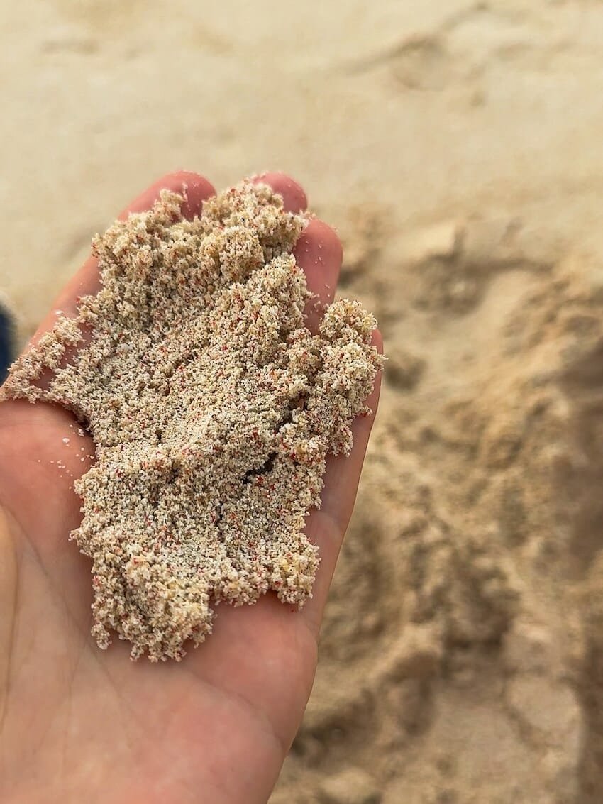 Sabbia con Coralli Costa Ovest Gili Meno