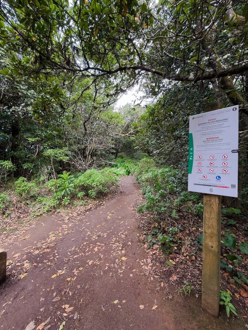 Cartello Inizio Sentiero Bosque Encantado Tenerife