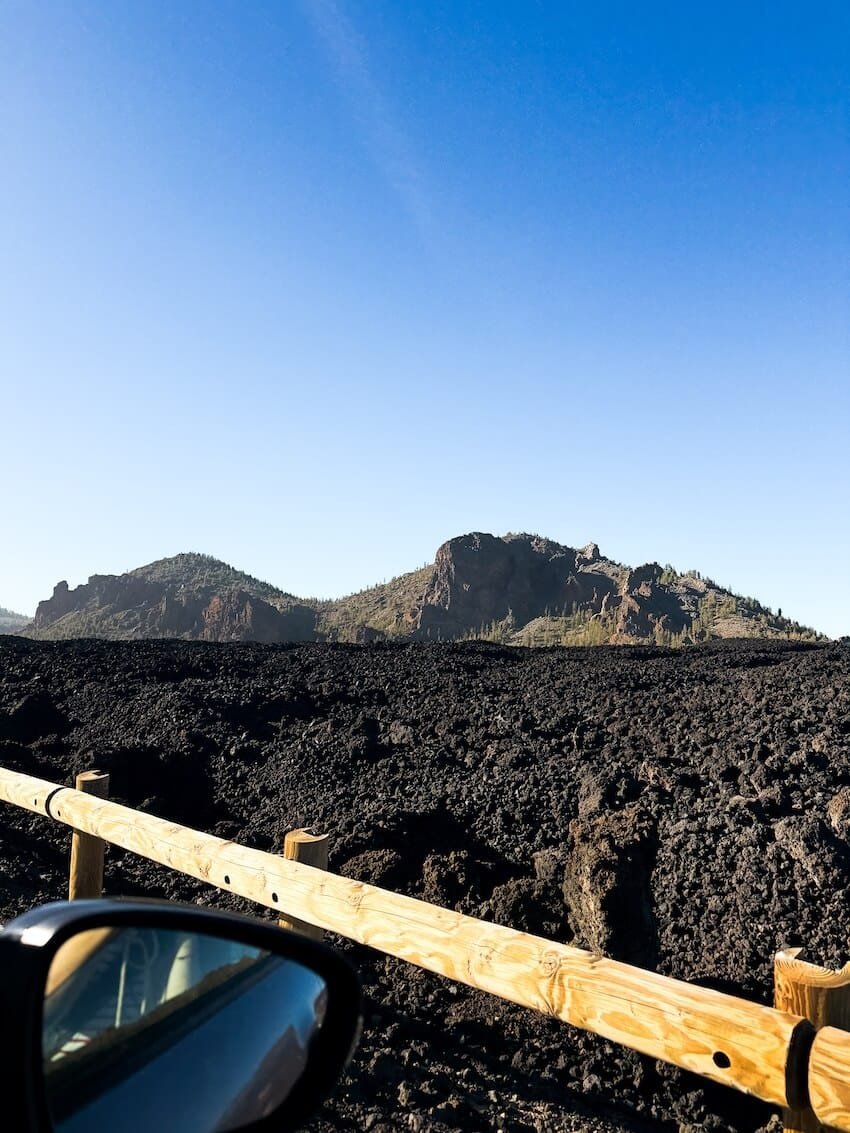 Colata Lavica e Pini Canari Parco Nazionale del Teide Tenerife