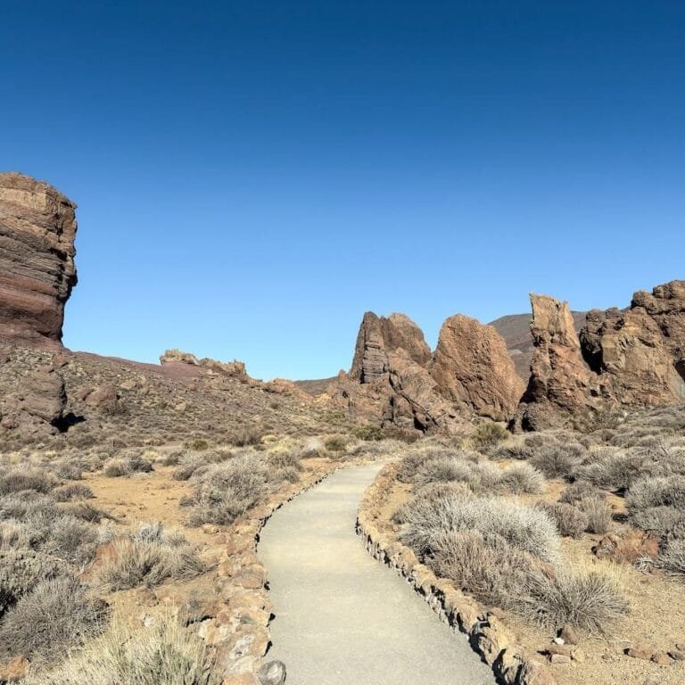 Copertina Escursione Roques de García Tenerife