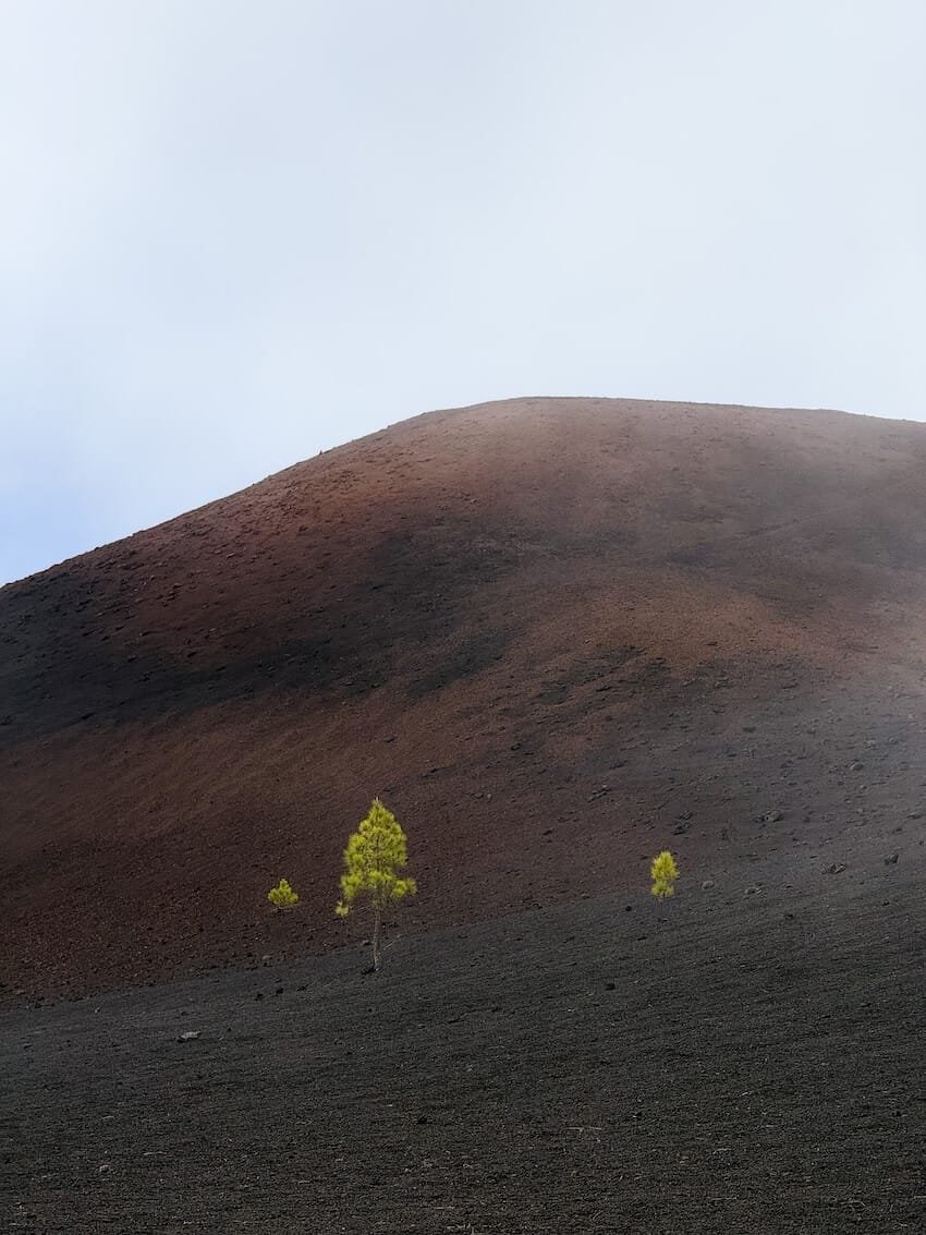 Dettaglio Vulcano Chinyero Trekking Imperdibili Tenerife
