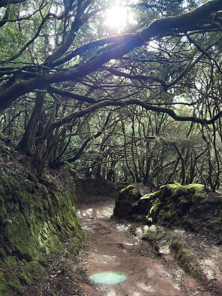Gradini nella Roccia Sendero de los Sentidos Tenerife