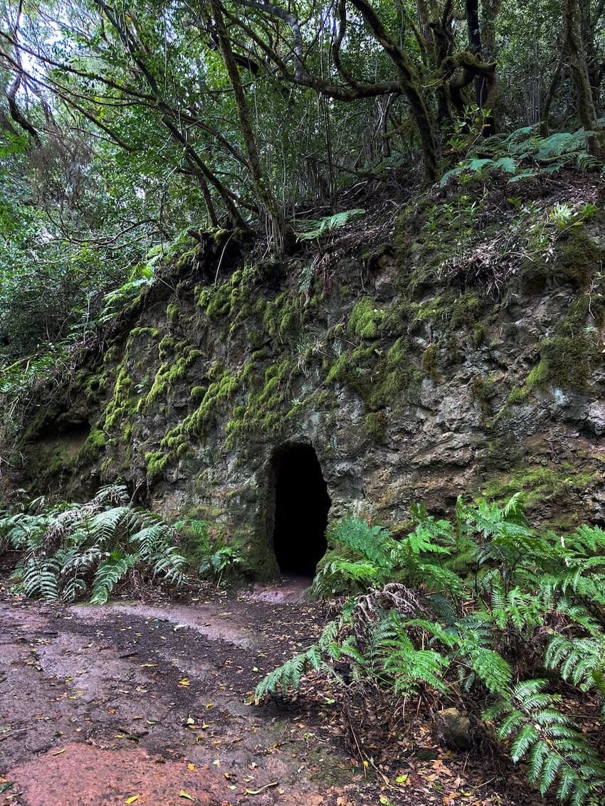 Grotta Sentiero Bosque Encantado Tenerife