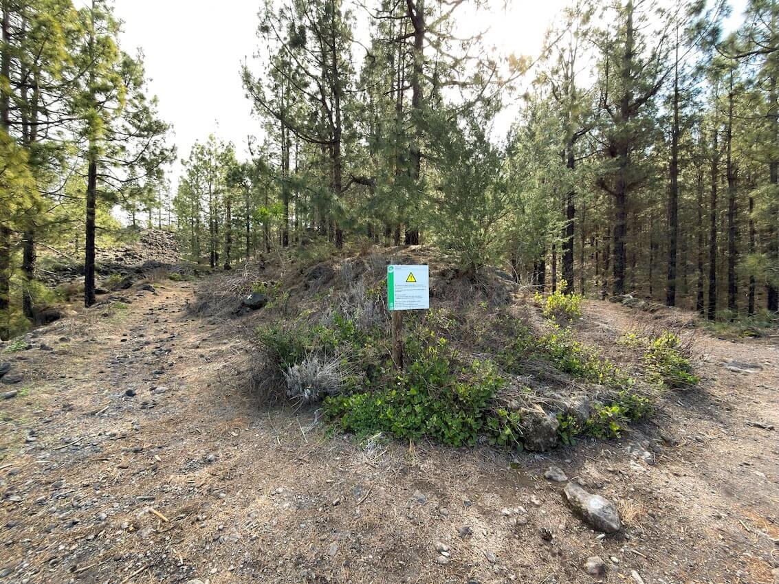 Incrocio Sentiero Anello PR-TF 43 Vulcano Chinyero Tenerife