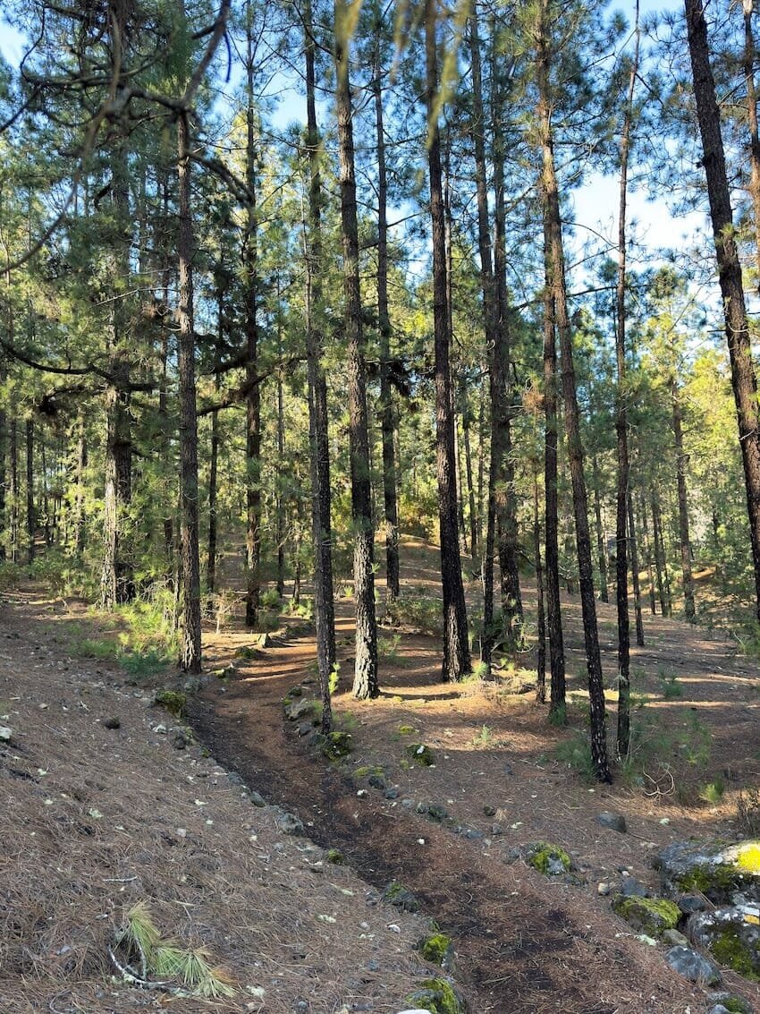 Inizio Salita Sentiero PR-TF 43 Area Recreativa Arenas Negras Tenerife