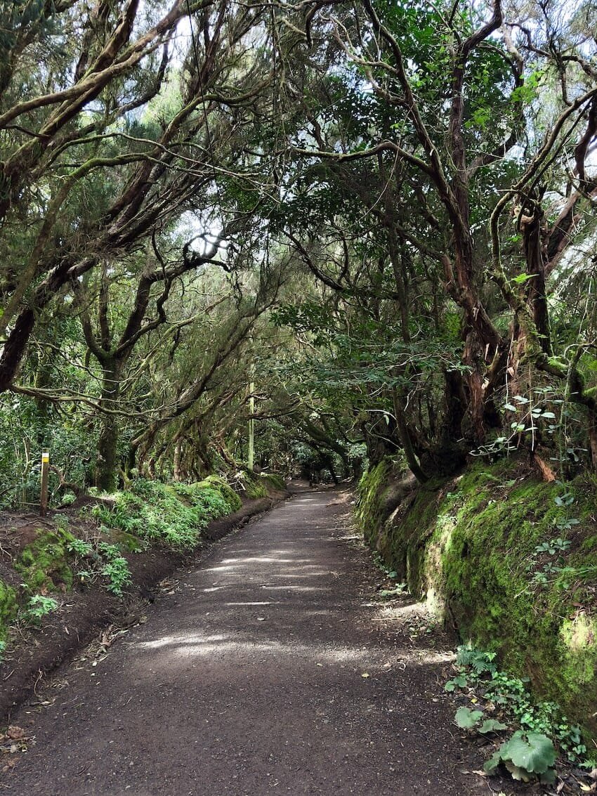 Inizio Sentiero Sendero de los Sentidos Tenerife