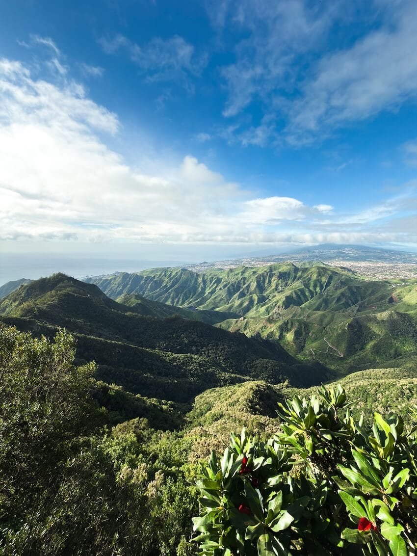 Mirador Pico del Inglés Tenerife