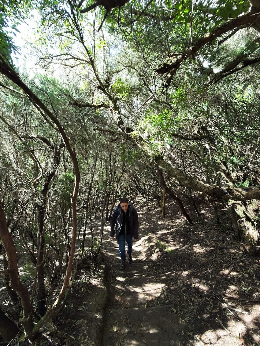 Pal al Sendero de los Sentidos Tenerife