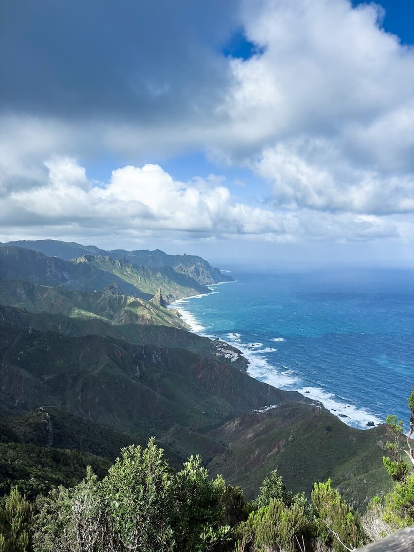 Panorama Mirador Cabezo del Tejo Sentiero Bosque Encantado Tenerife