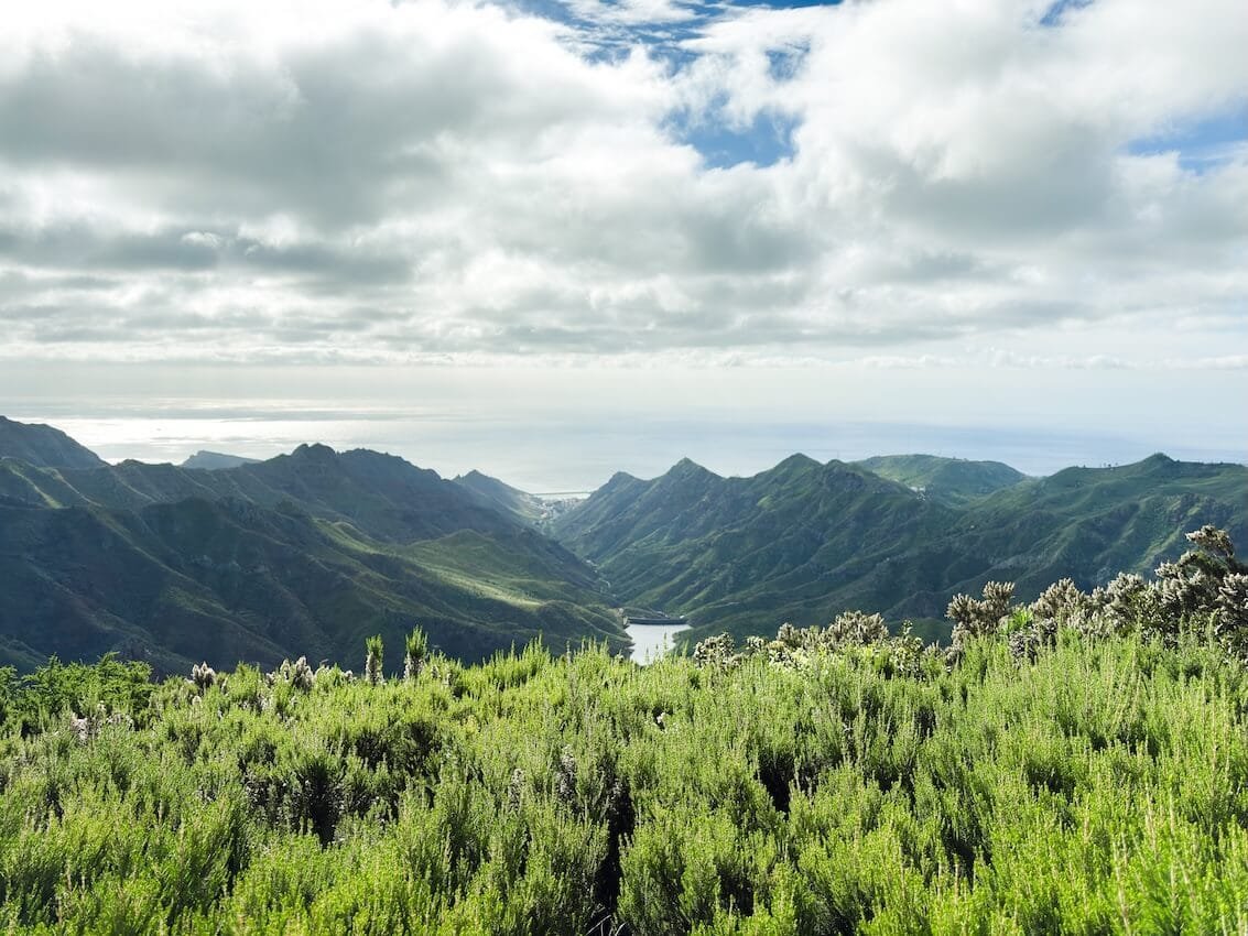 Panorama Mirador Llano de los Loros Tenerife