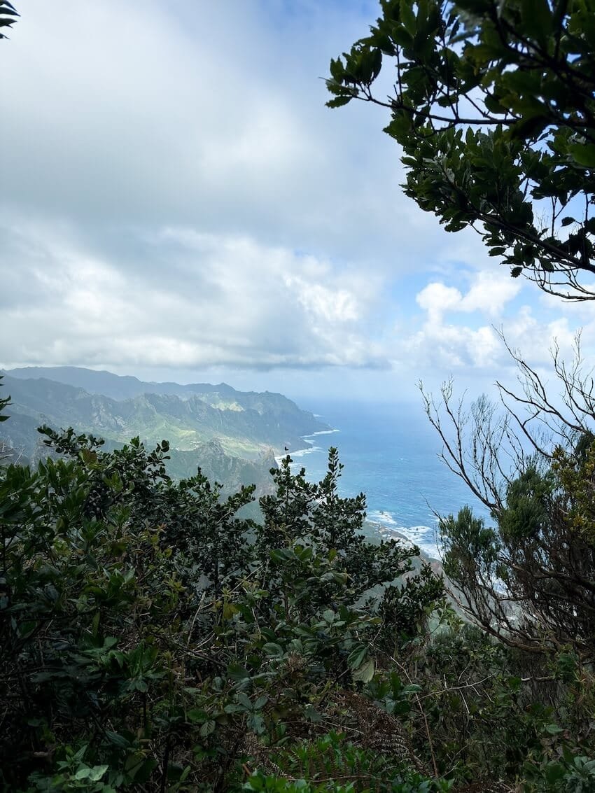 Scorcio Costa Nord Occidentale Sentiero Bosque Encantado Tenerife