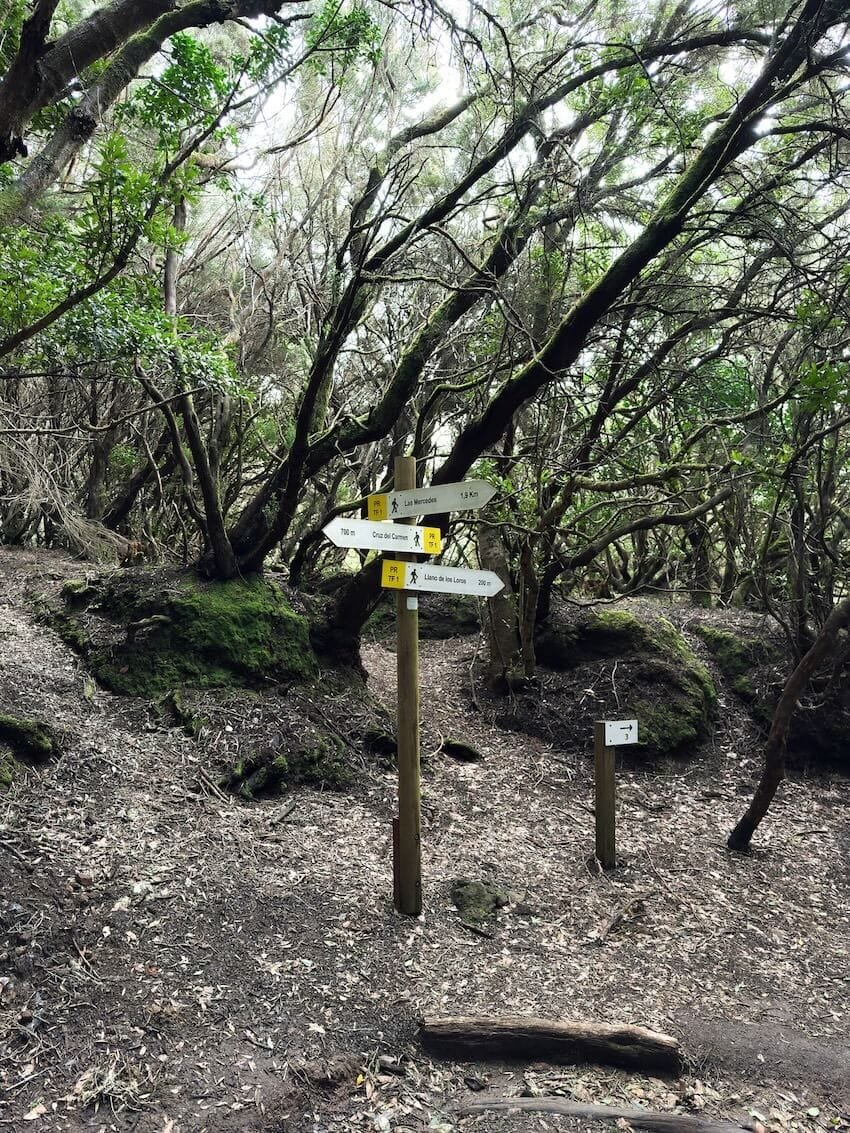 Segnaletica Fine Sentiero Sendero de los Sentidos Tenerife