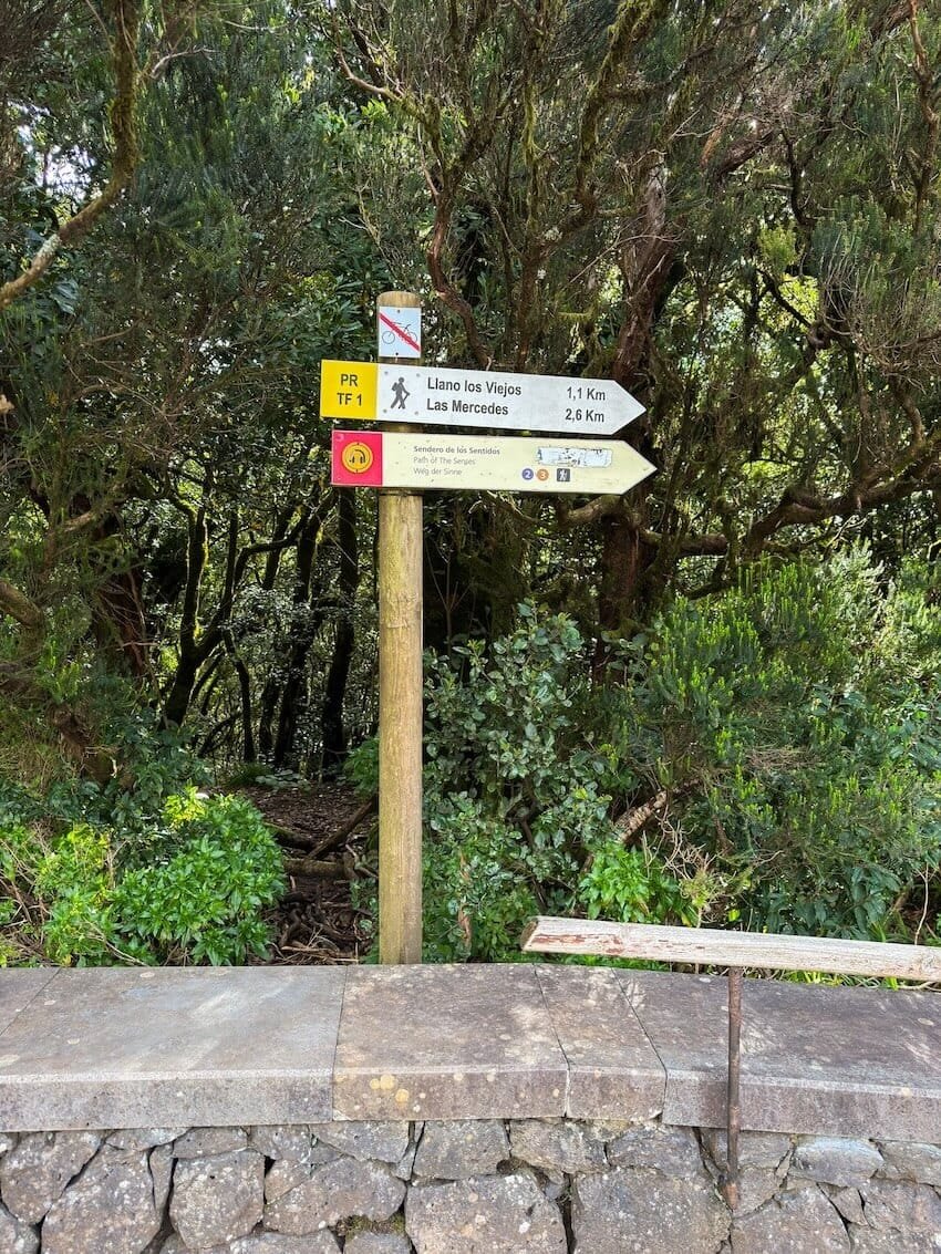 Segnaletica Inizio Percorso Sendero de los Sentidos Tenerife