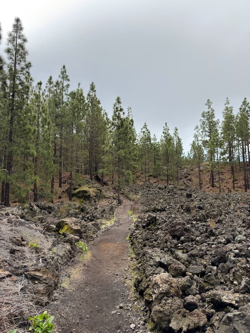 Sentiero nella Lava PR-TF 43 Vulcano Chinyero Tenerife