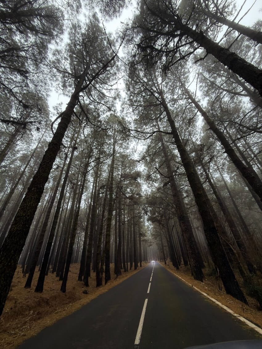 Strada TF-24 Itinerario 7 Giorni Tenerife