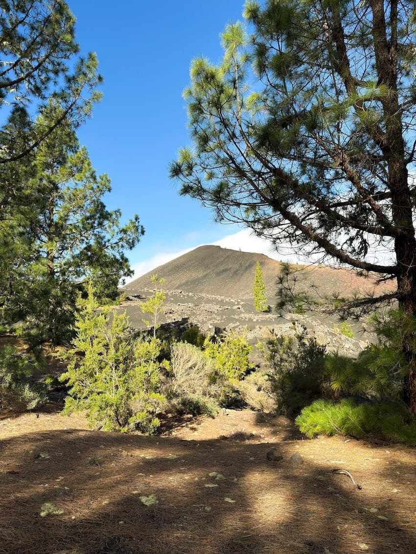 Vulcano Arenas Negras Tenerife