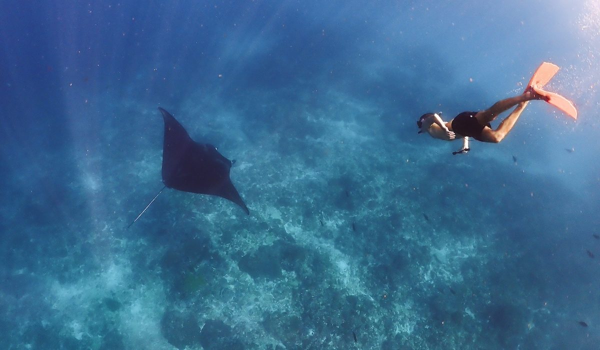 Copertina Articolo HeyMondo