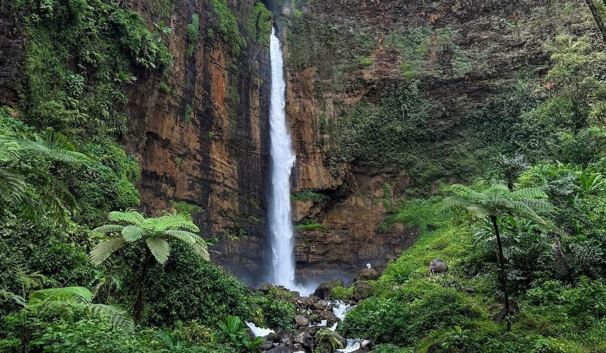 Copertina Kapas Biru