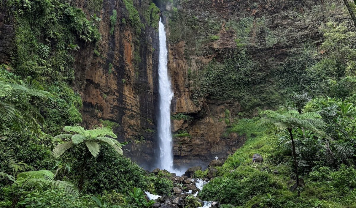 Copertina Kapas Biru