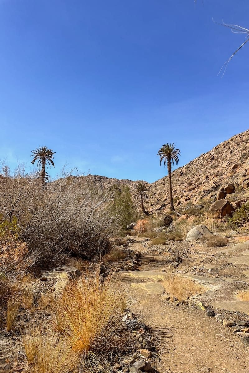 Inizio Oasi Sentiero 1 per Arco de Las Peñitas