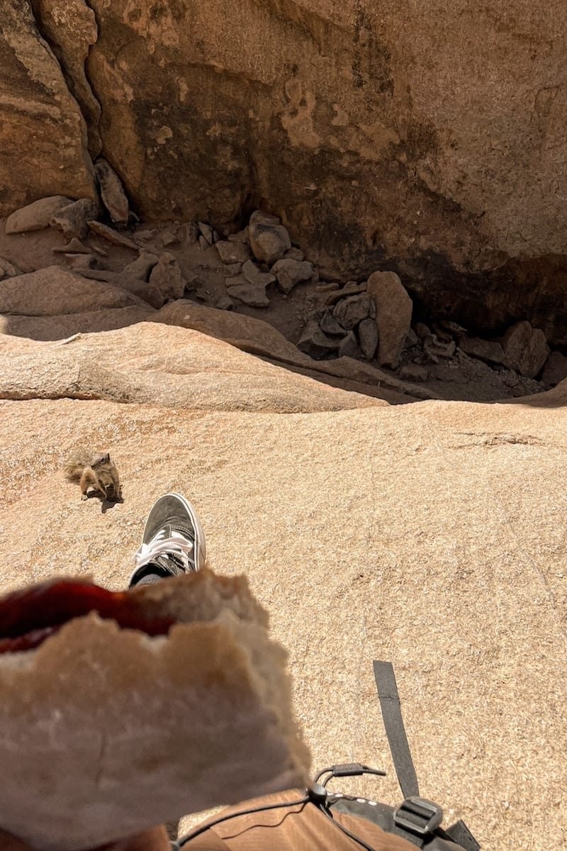 Io con il pranzo e lo scoiattolo che mi fissa