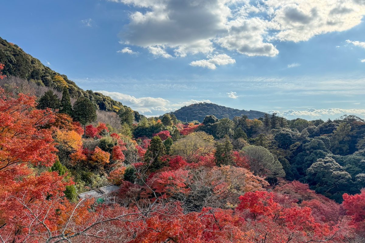 Kiyomizu-dera Panorama Kiyomizu-dera Panorama