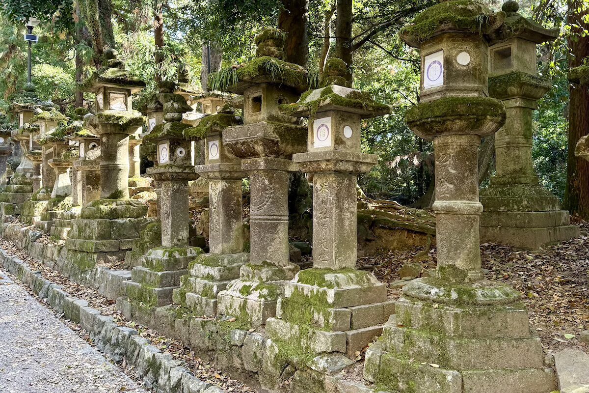 Lanterne di Pietra Kasuga Taisha Lanterne di Pietra Kasuga Taisha