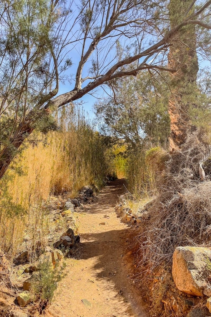 Oasi Sentiero 1 per Barranco de las Peñitas.JPG