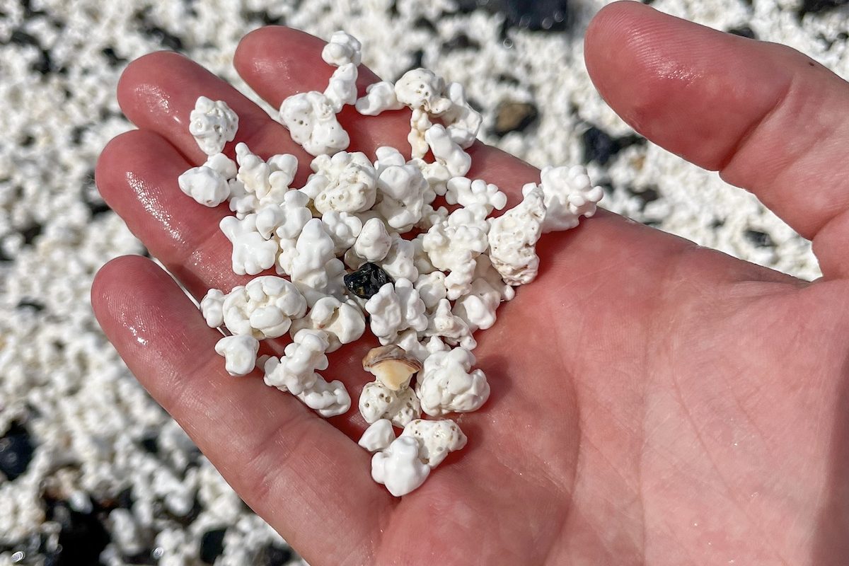 Pop Corn Beach Pop Corn Beach