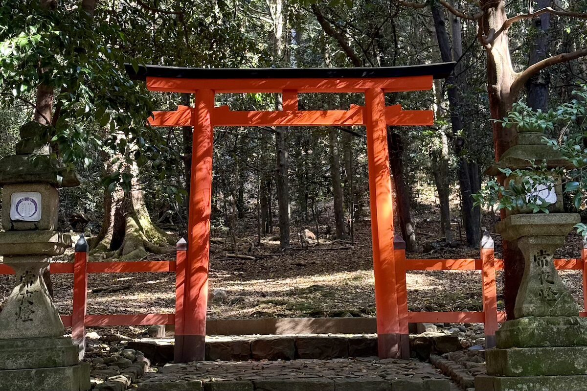 Tori Kasuga Taisha Tori Kasuga Taisha